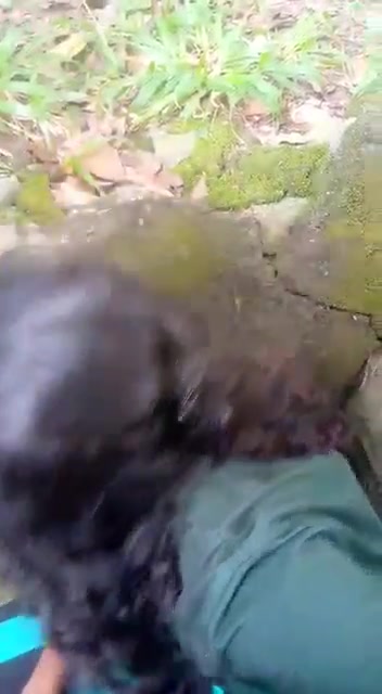 sinhala jil Sri Lankan Sex Videos